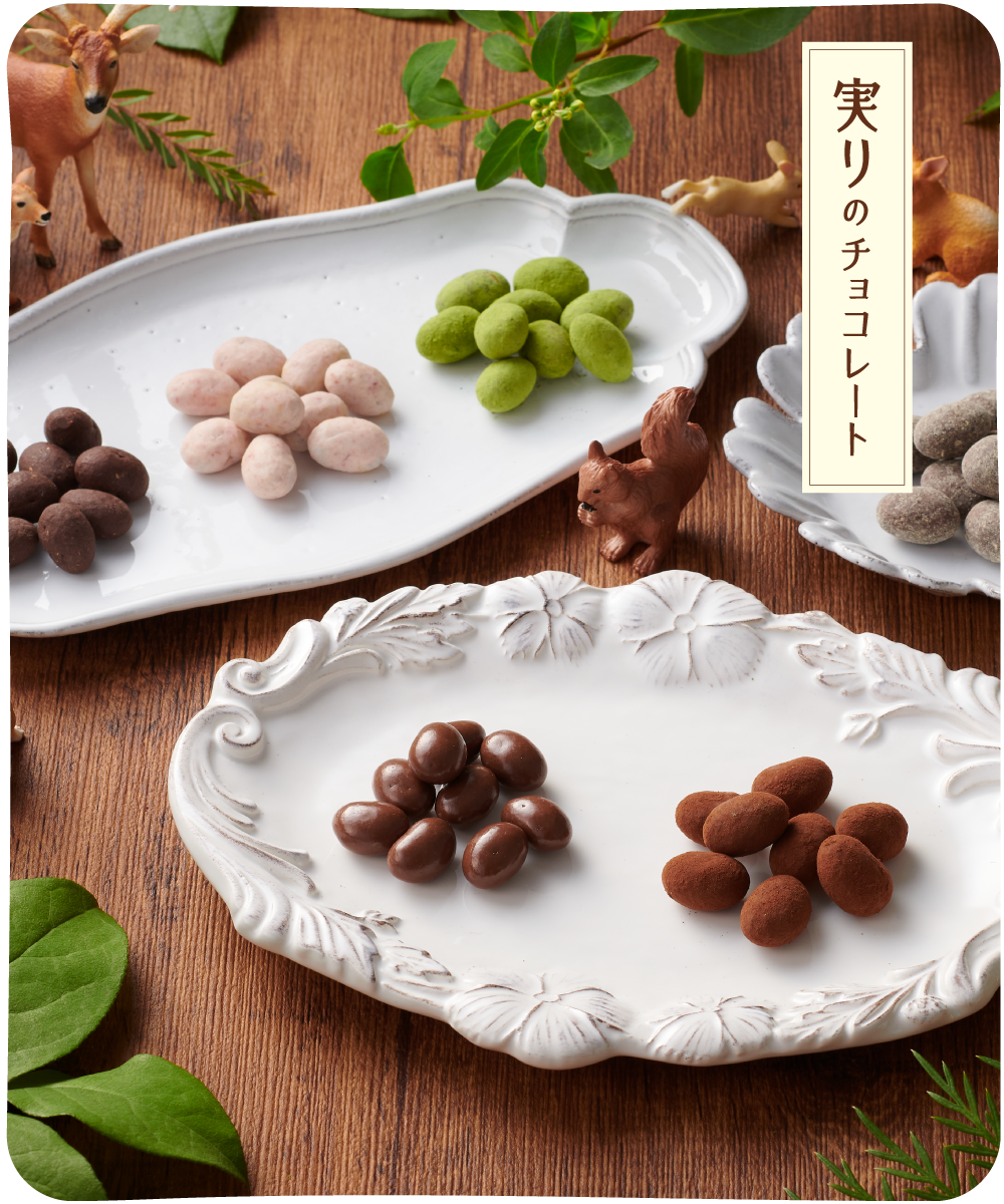 6種類の個性豊かな黒豆チョコ「実りのチョコレート」