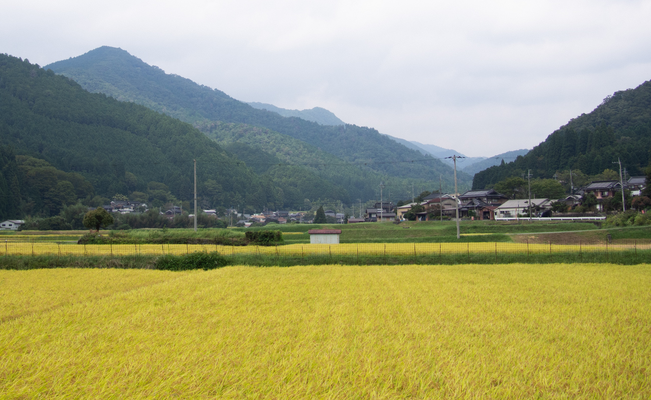 兵庫県宍粟（しそう）市一宮町