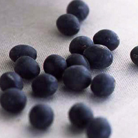 こだわりの国産丹波黒大豆