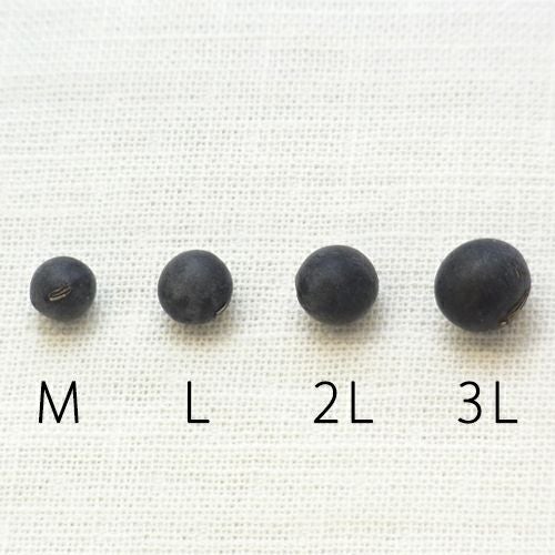 丹波黒大豆　サイズ